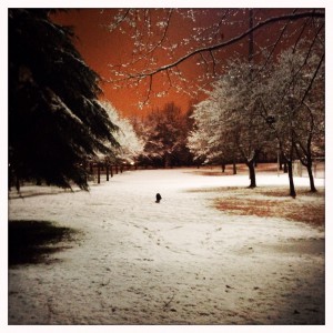 Winterreise#1