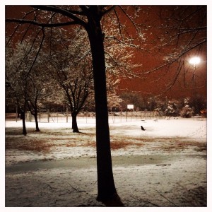 Winterreise#2