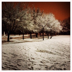 Winterreise#3